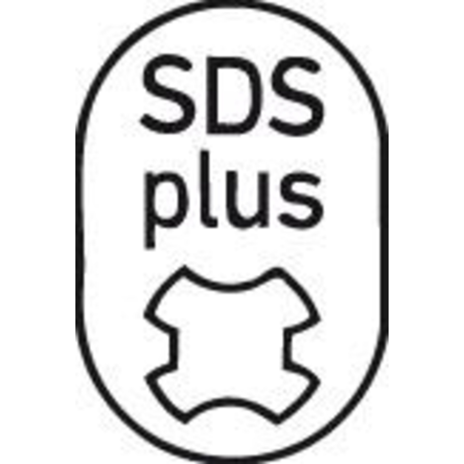 seal_qwz307541