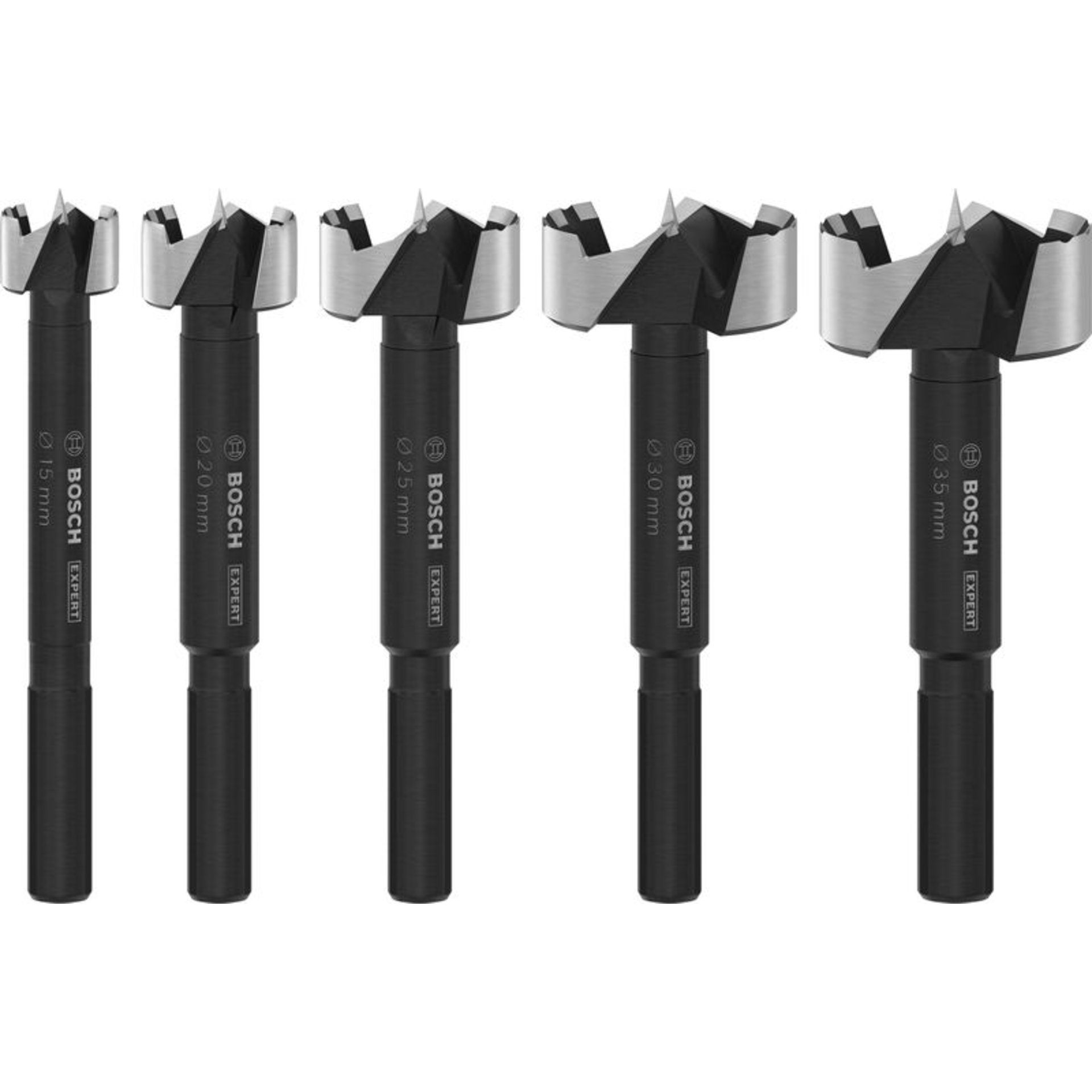 EXPERT Wood Forstnerbohrer Set, 5-tlg