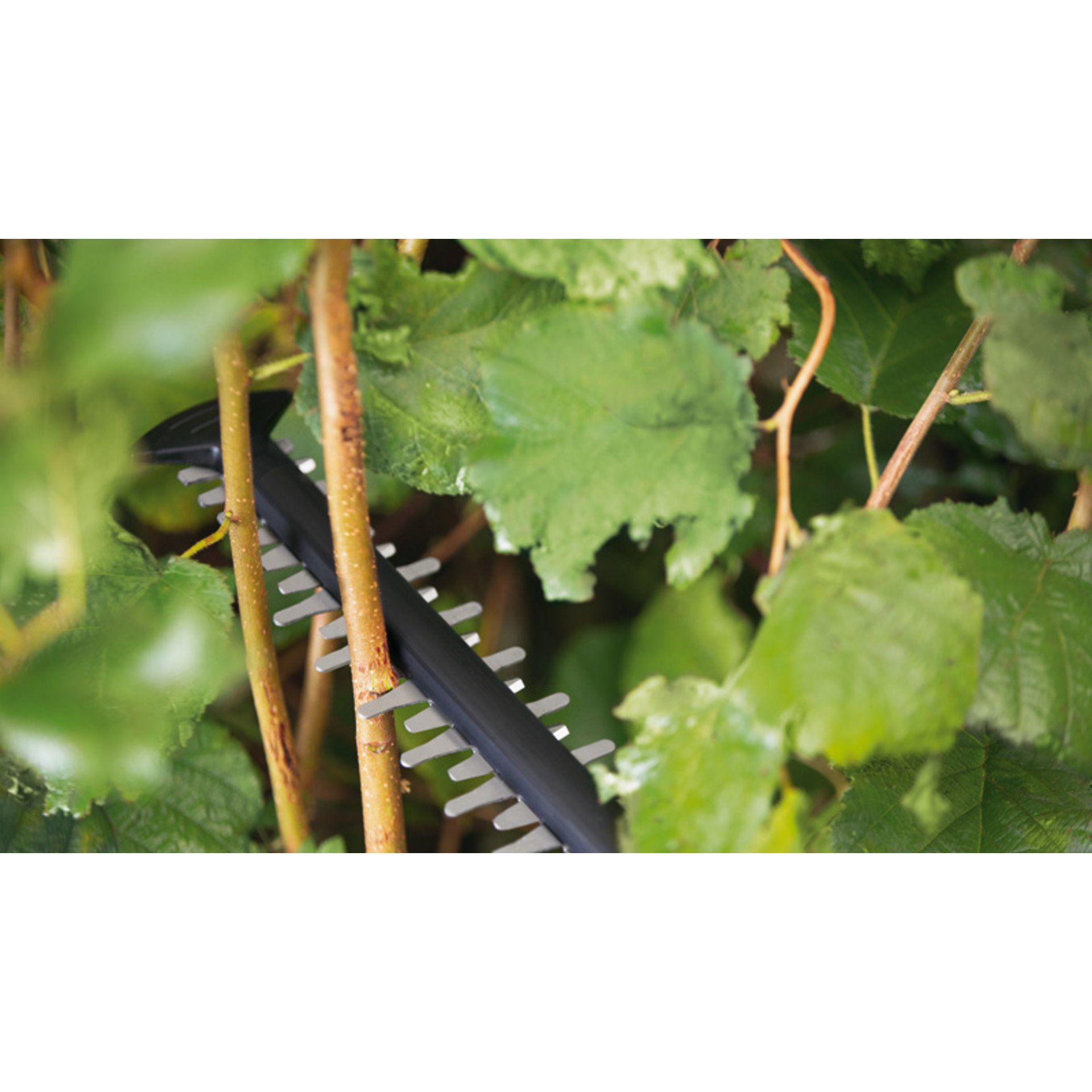 Akku-Heckenschere UniversalHedgeCut 18V-55, 1 x Akku PBA 18V 2.5Ah