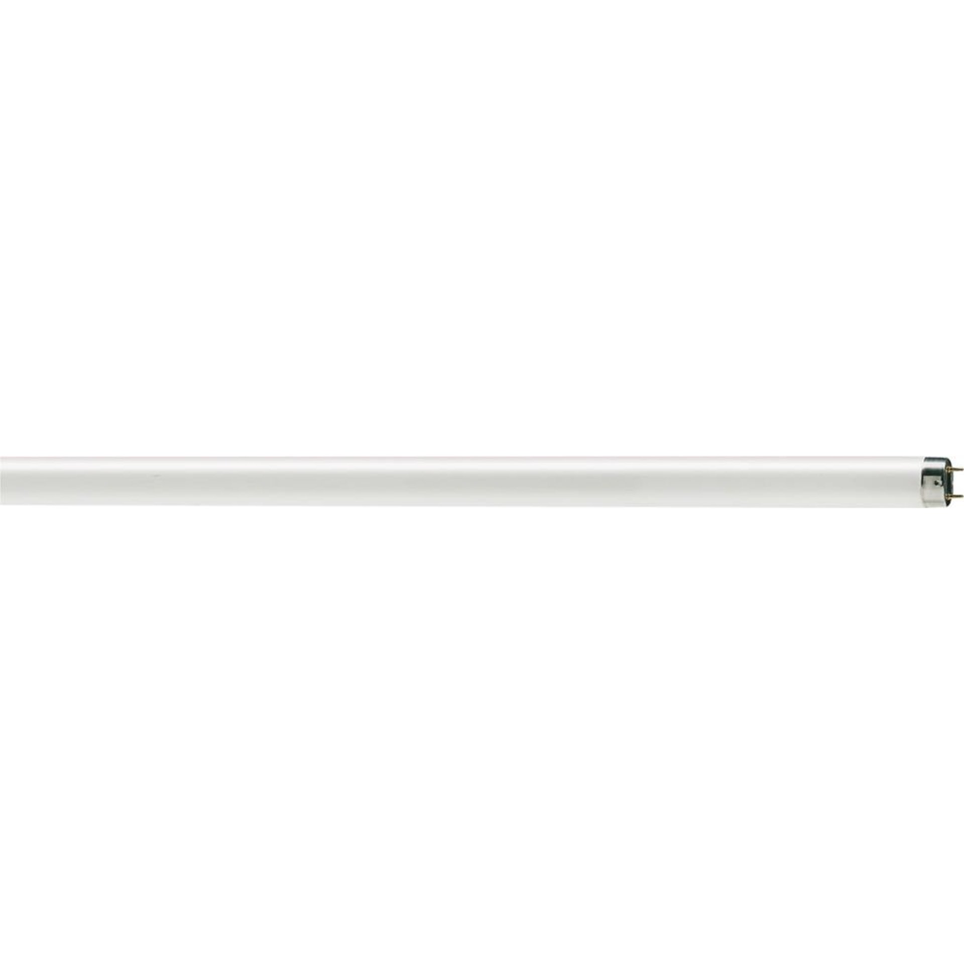 Leuchtstofflampe T8 IP 20