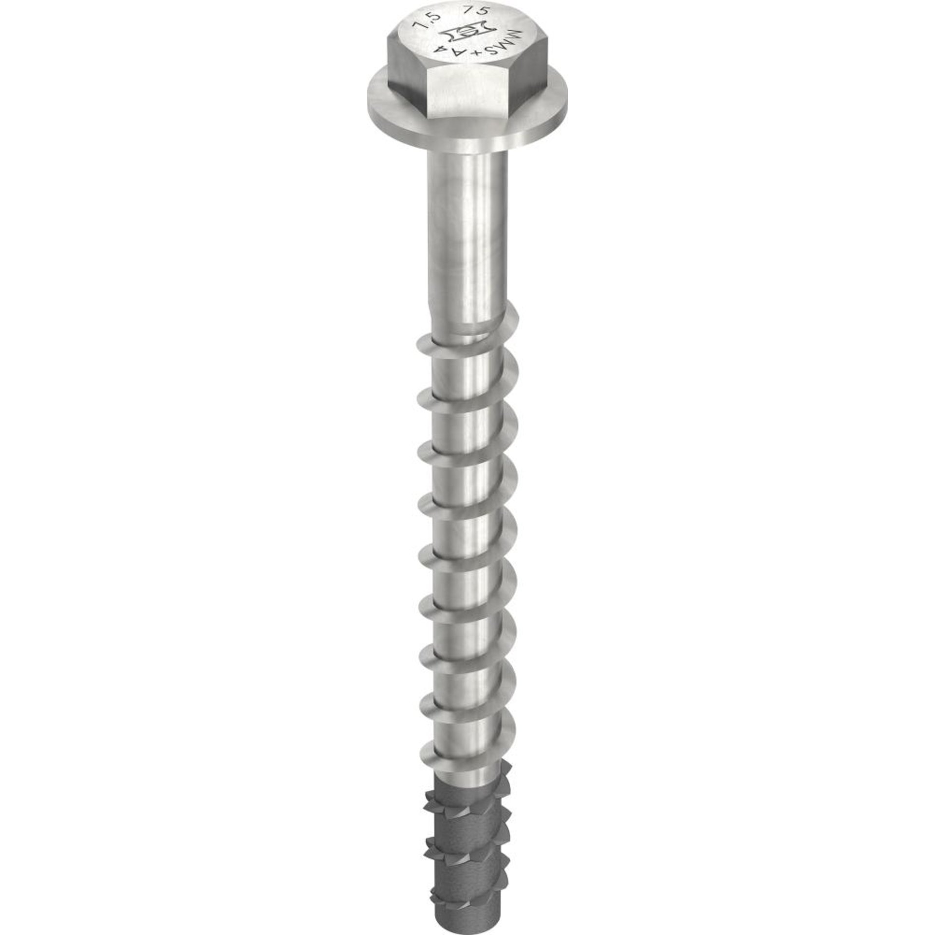 MULTI-MONTI-plus SS 10x65/5 A4