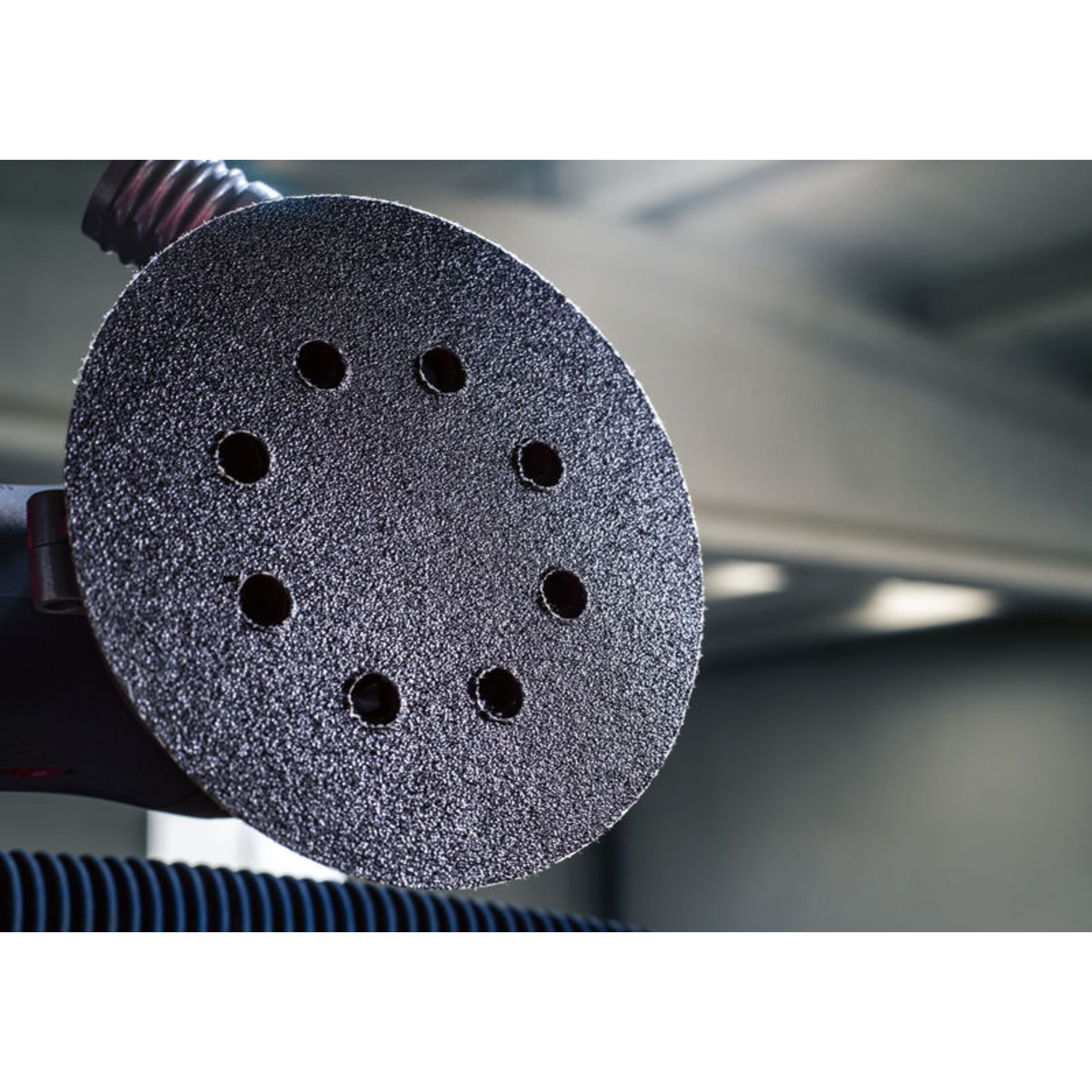 PRO F355 Schleifblatt, 125 mm, 240, 5-tlg.
