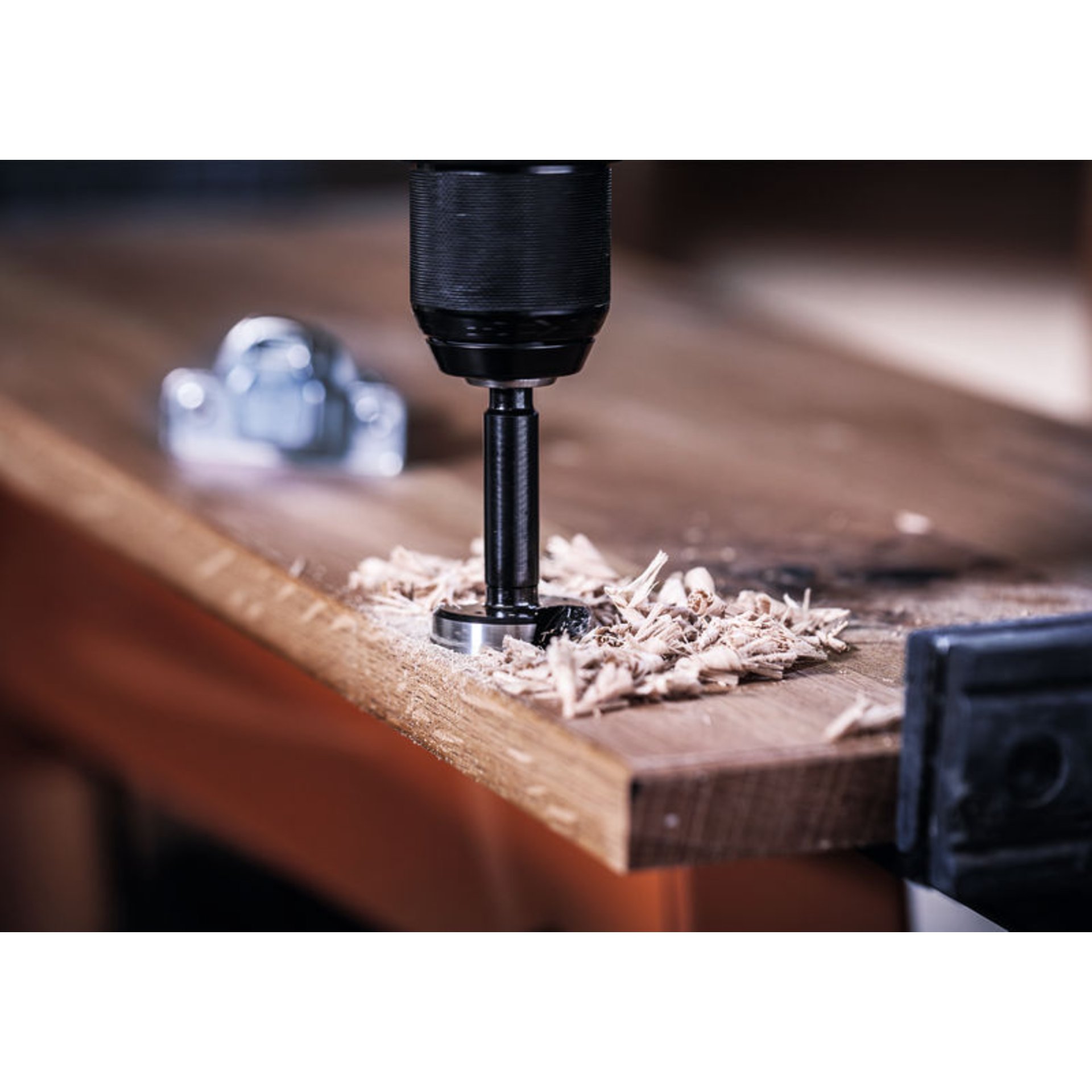 EXPERT Wood Forstnerbohrer, 10 mm