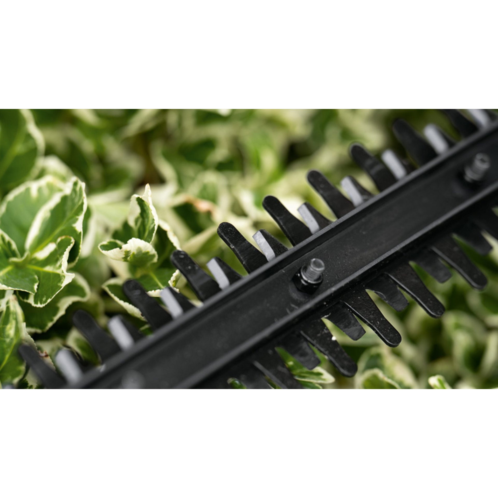 Akku-Heckenschere EasyHedgeCut 18V-44-11