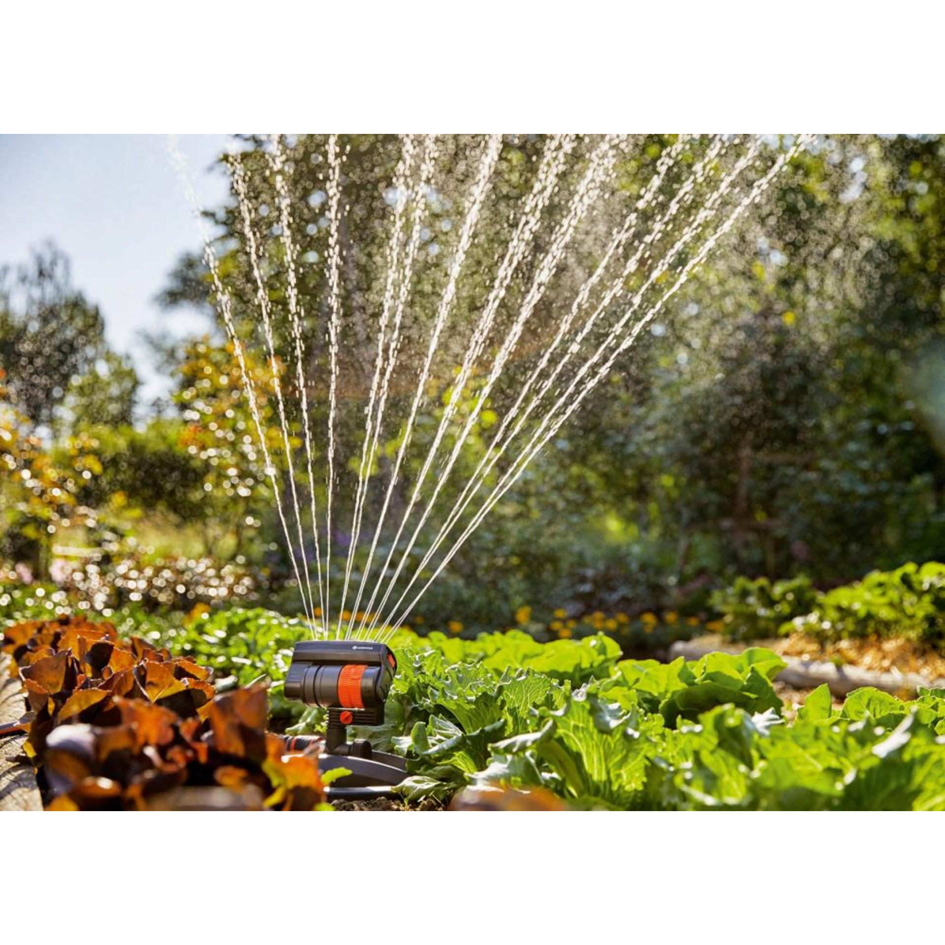 Viereckregner AquaZoom compact 18708-20