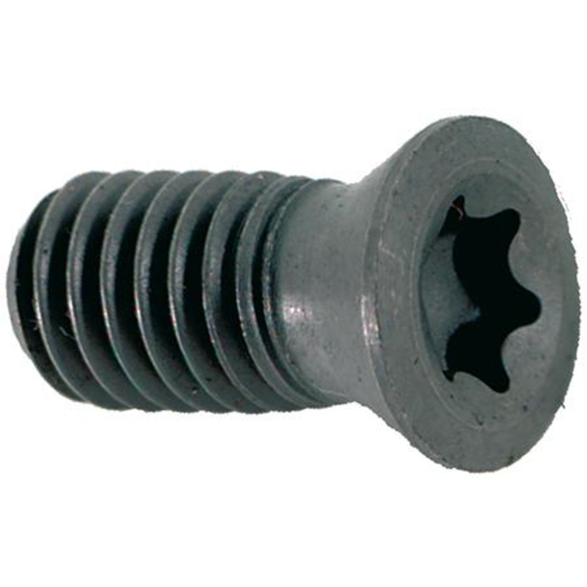 Torxschraube für Breite 12mm US 73 FORMAT