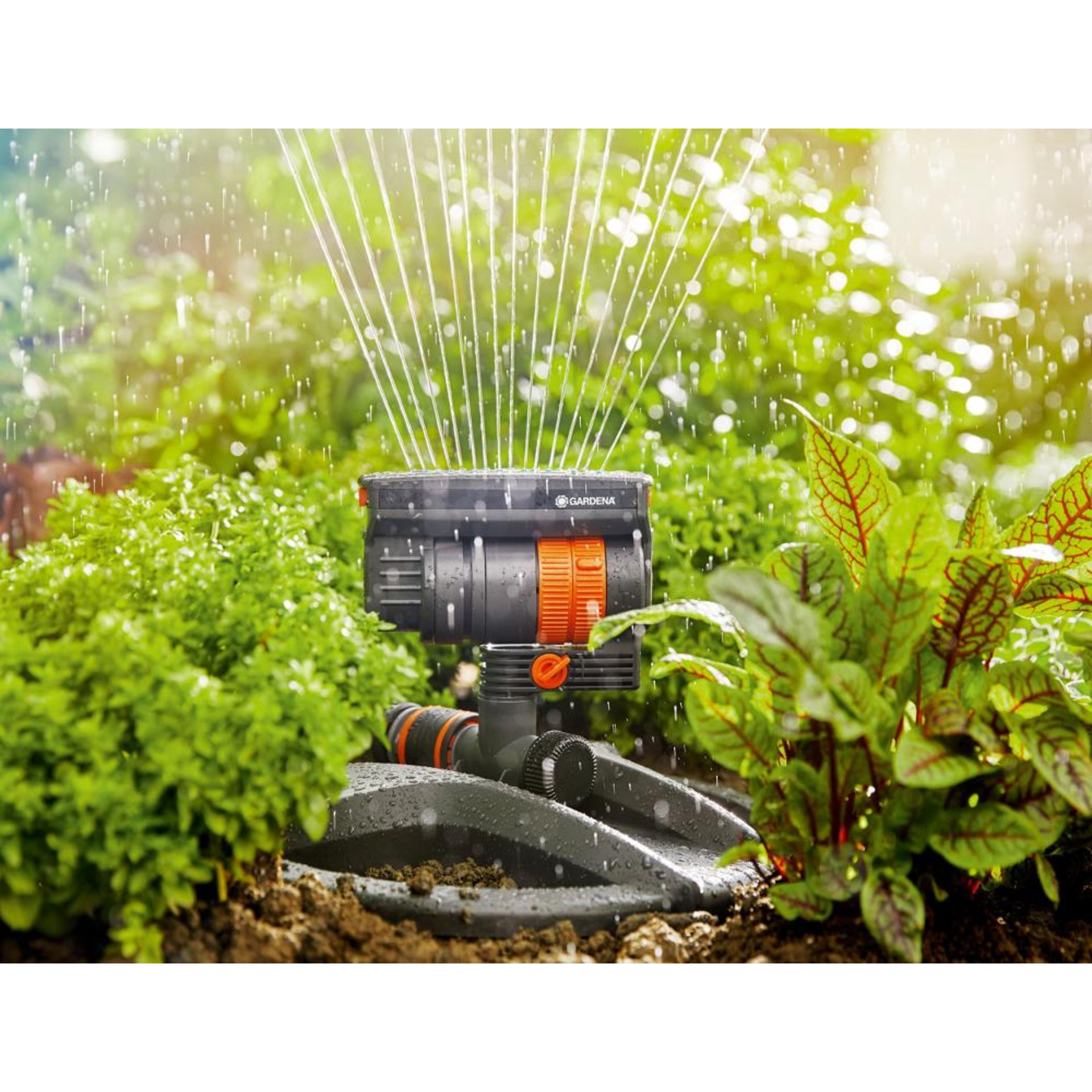 Viereckregner AquaZoom compact 18708-20