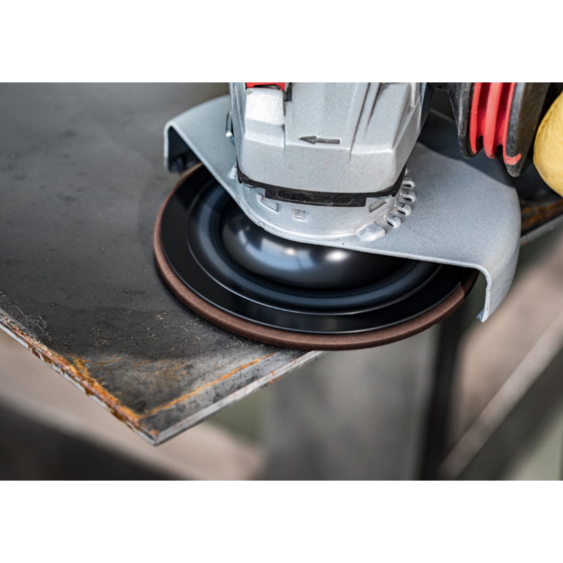 EXPERT N880 Vliesscheibe für Exzenterschleifer, 150 mm, grob, 5-tlg.