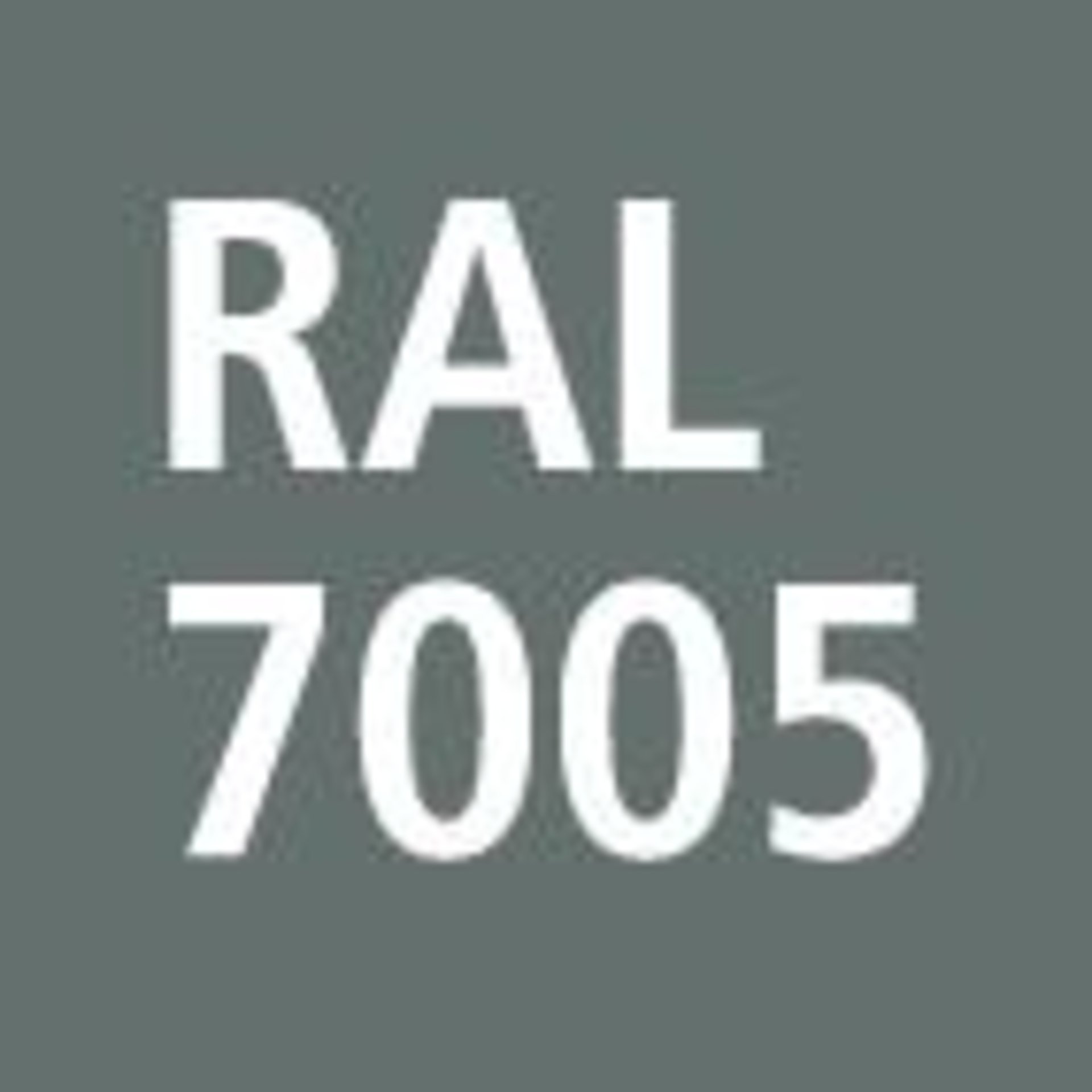 sealnie403144