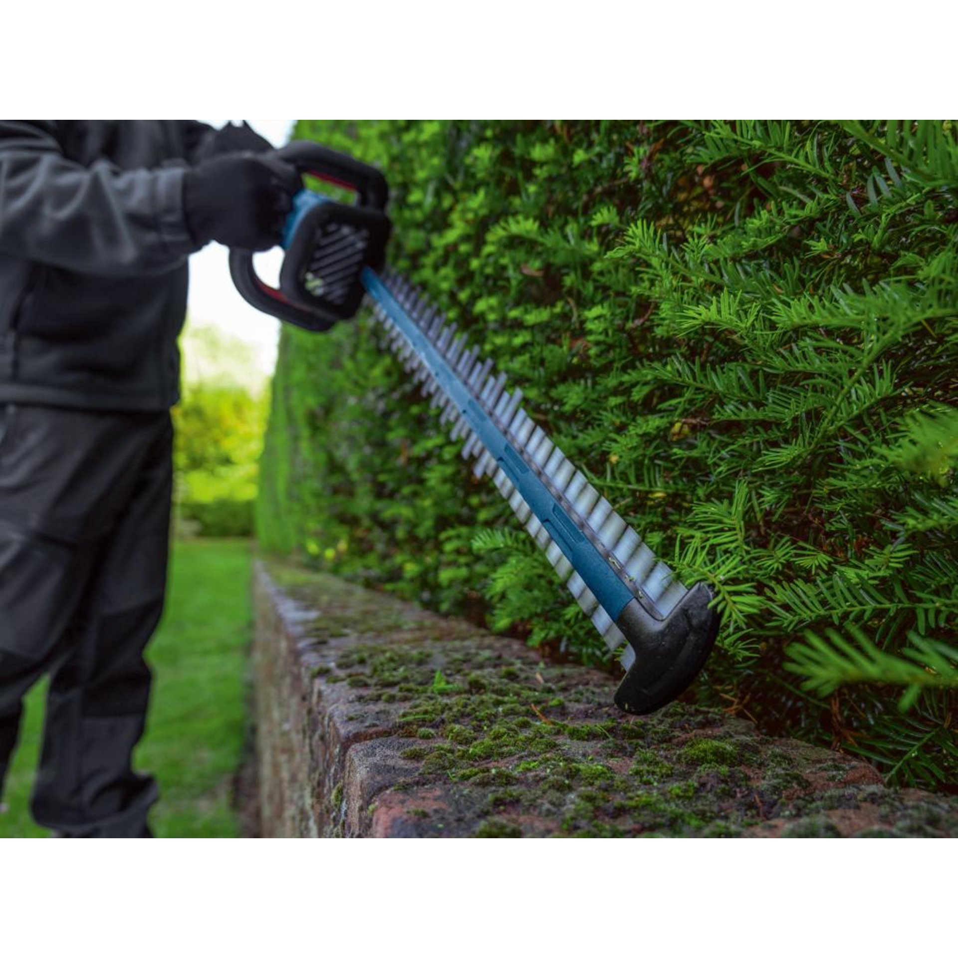 Akku-Heckenschere solo GHE 18V-60 II Bosch ohne Akku ohne Ladegerät Karton