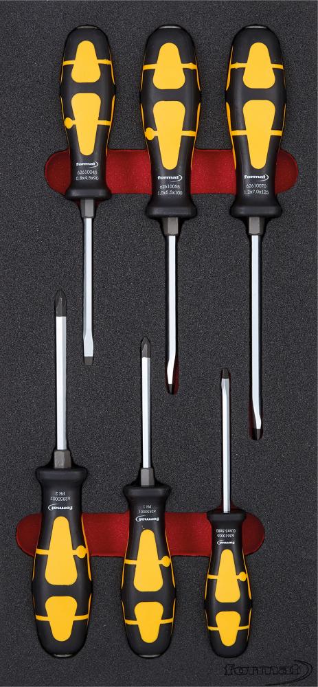 Format Werkzeugmodul 1/3 Schraubendreher mit Schlagkappe Format Werkzeugmodul 1/3 Schraubendreher mit Schlagkappe