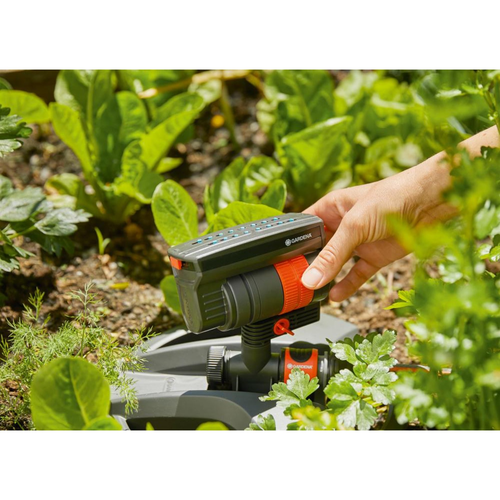 Viereckregner AquaZoom compact 18708-20
