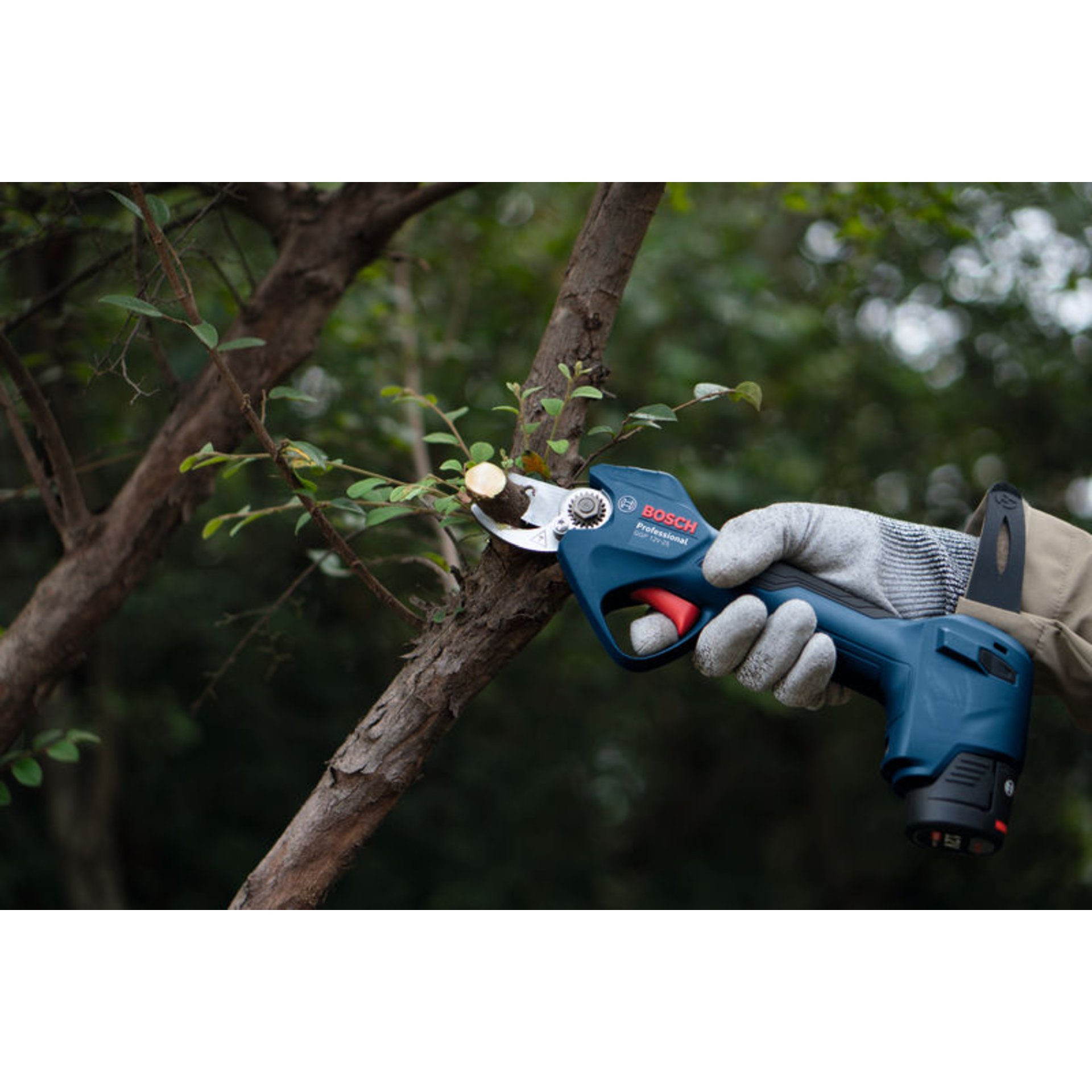 Akku-Gartenschere GGP 12V-25, 2 x Akku GBA 12V 3.0Ah