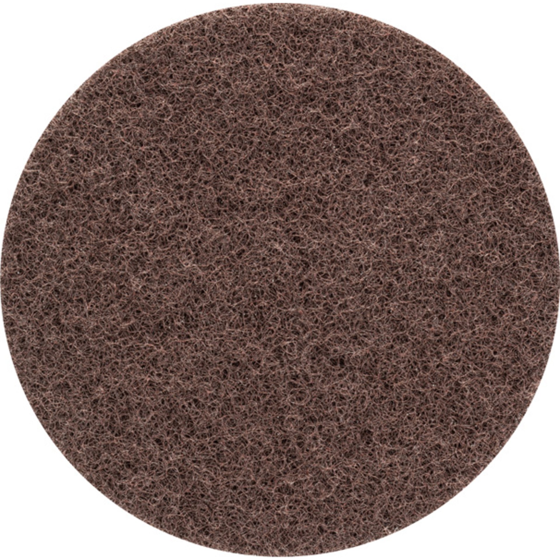 EXPERT N880 Vliesscheibe für Exzenterschleifer, 150 mm, grob, 5-tlg.