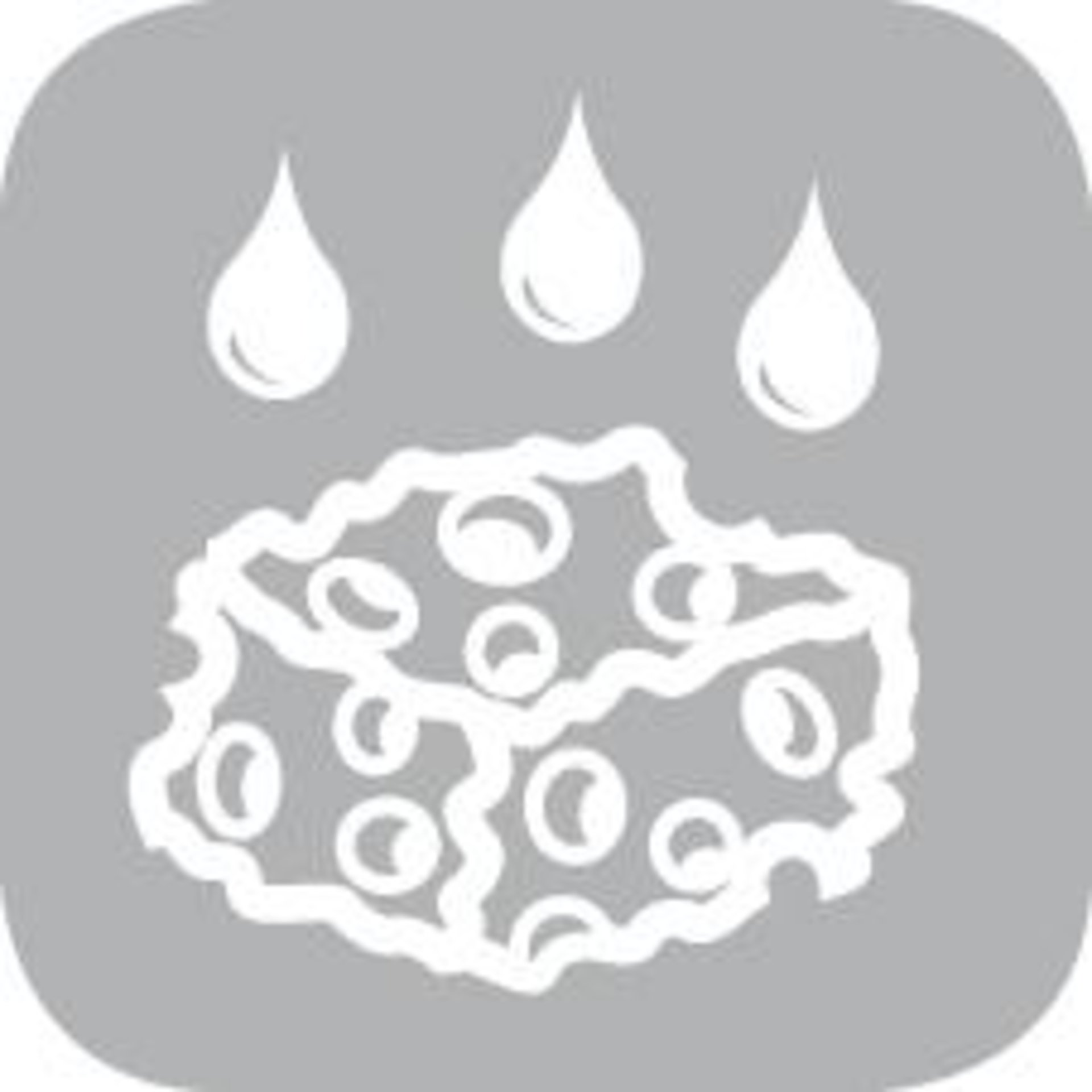sealepl416716