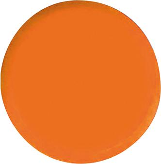 Eclipse Organisationsmagnet rund orange 30mm