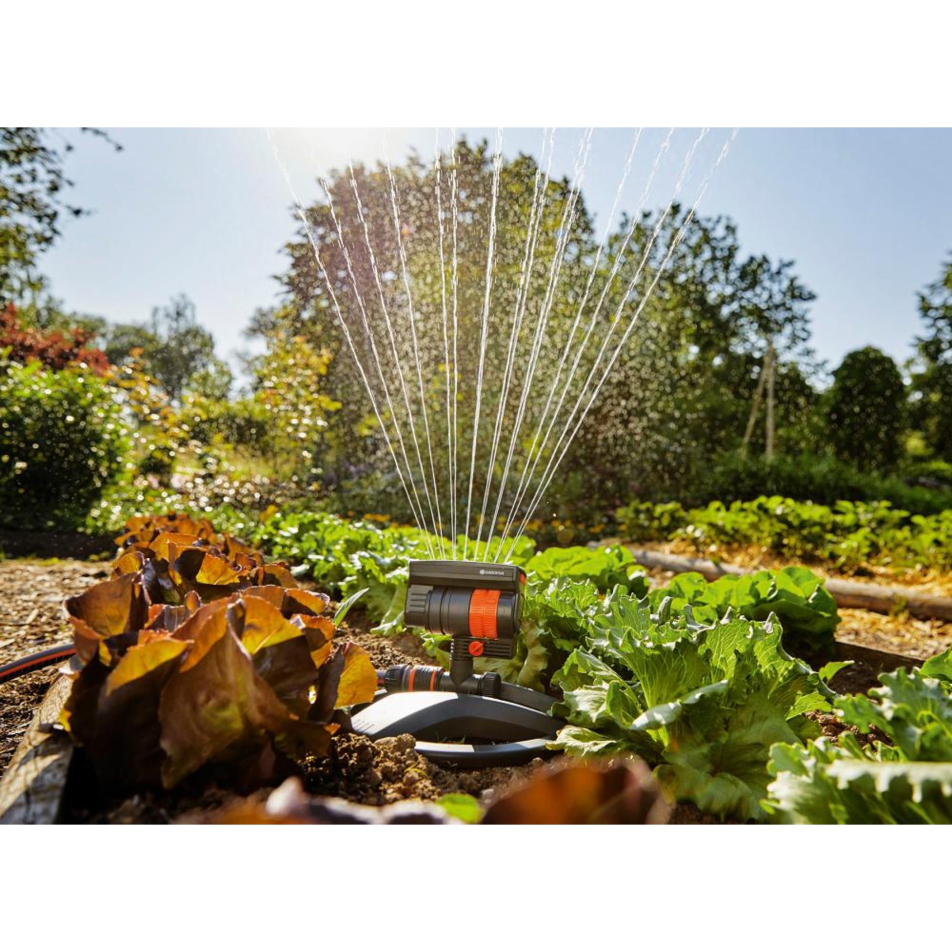 Viereckregner AquaZoom compact 18708-20