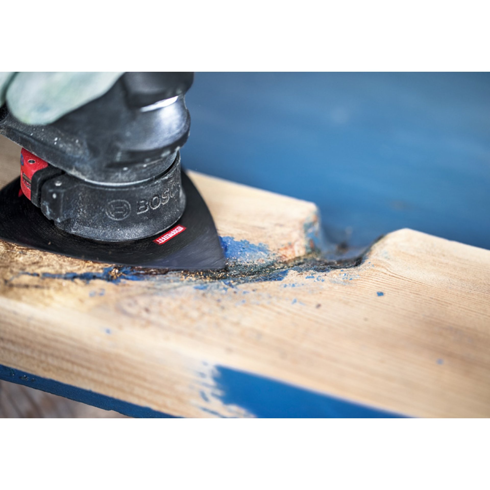 EXPERT Sanding Plate MAVZ 116 RT2 Blatt für Multifunktionswerkzeuge, 116 mm