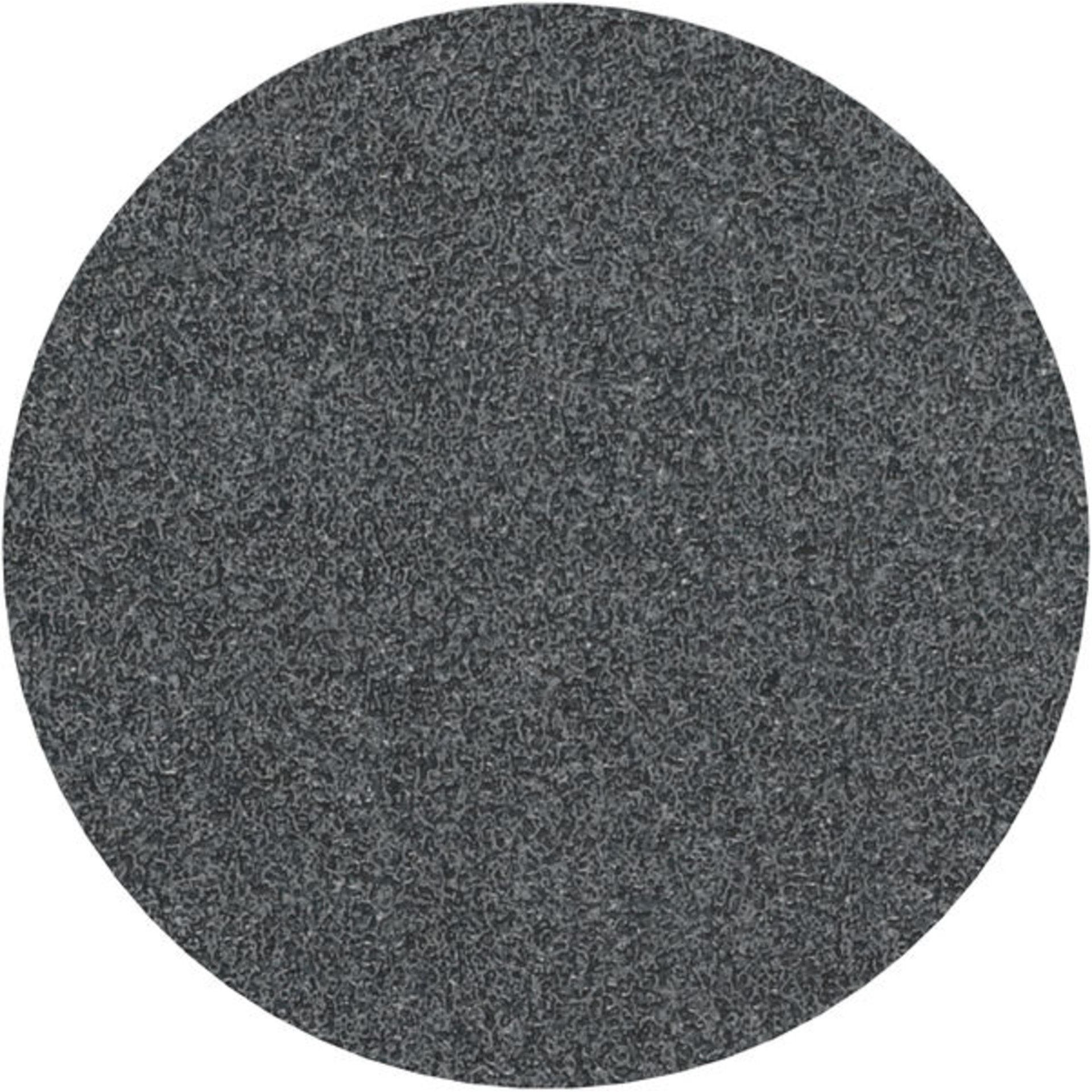 PRO F355 Schleifblatt, 125 mm, G60, 10-tlg.