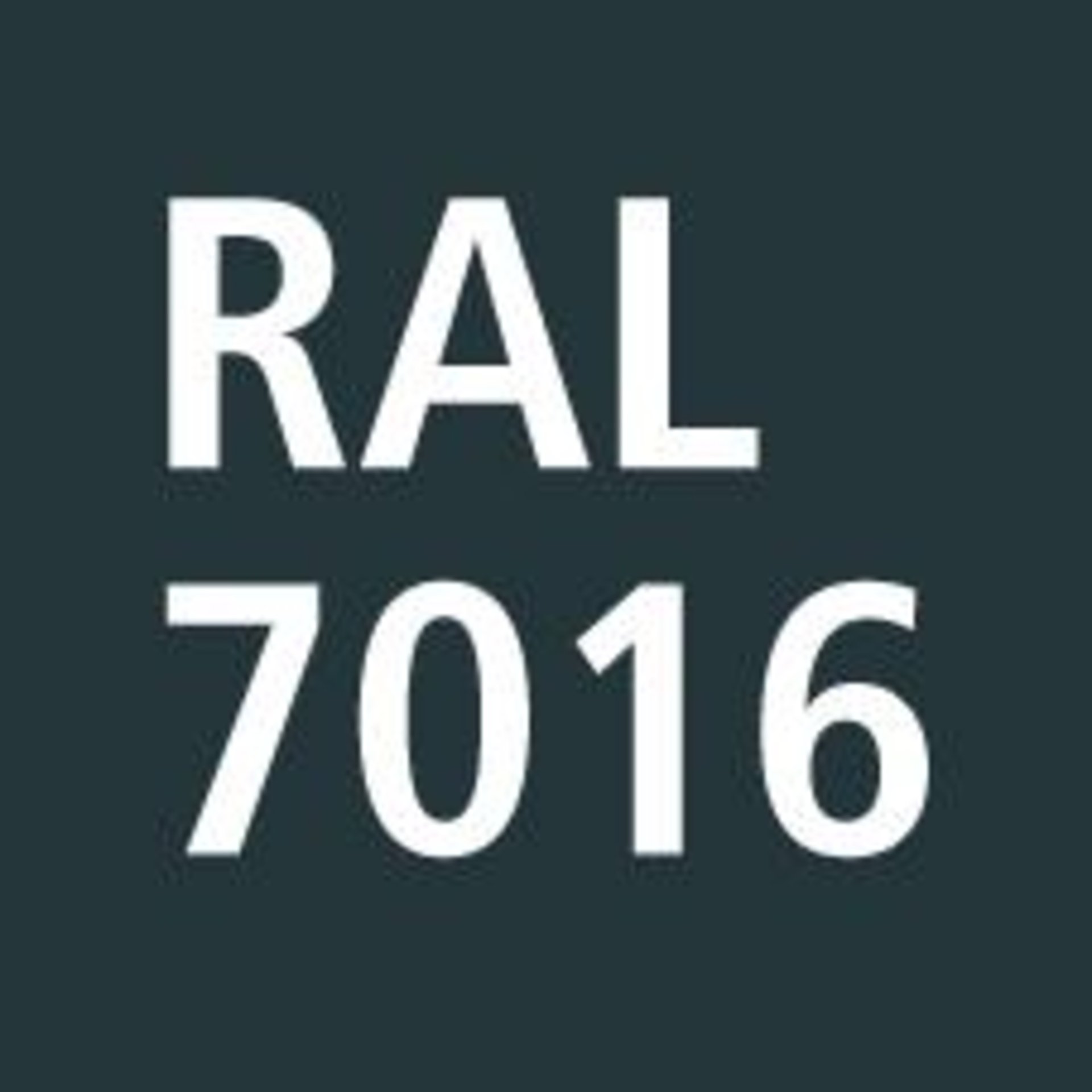 seallag452169