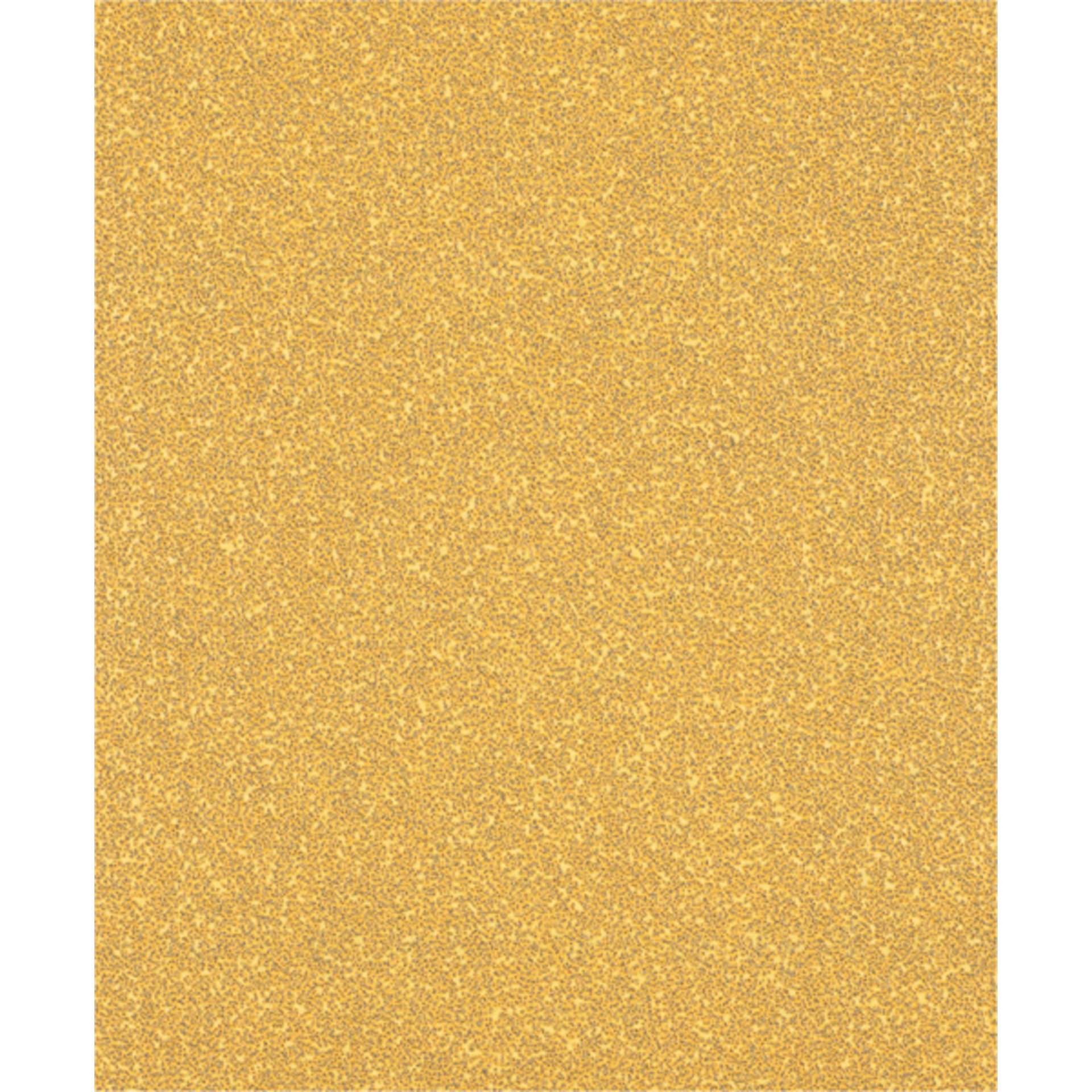 EXPERT C470 Schleifpapier zum Handschleifen, 230 x 280 mm, K 40