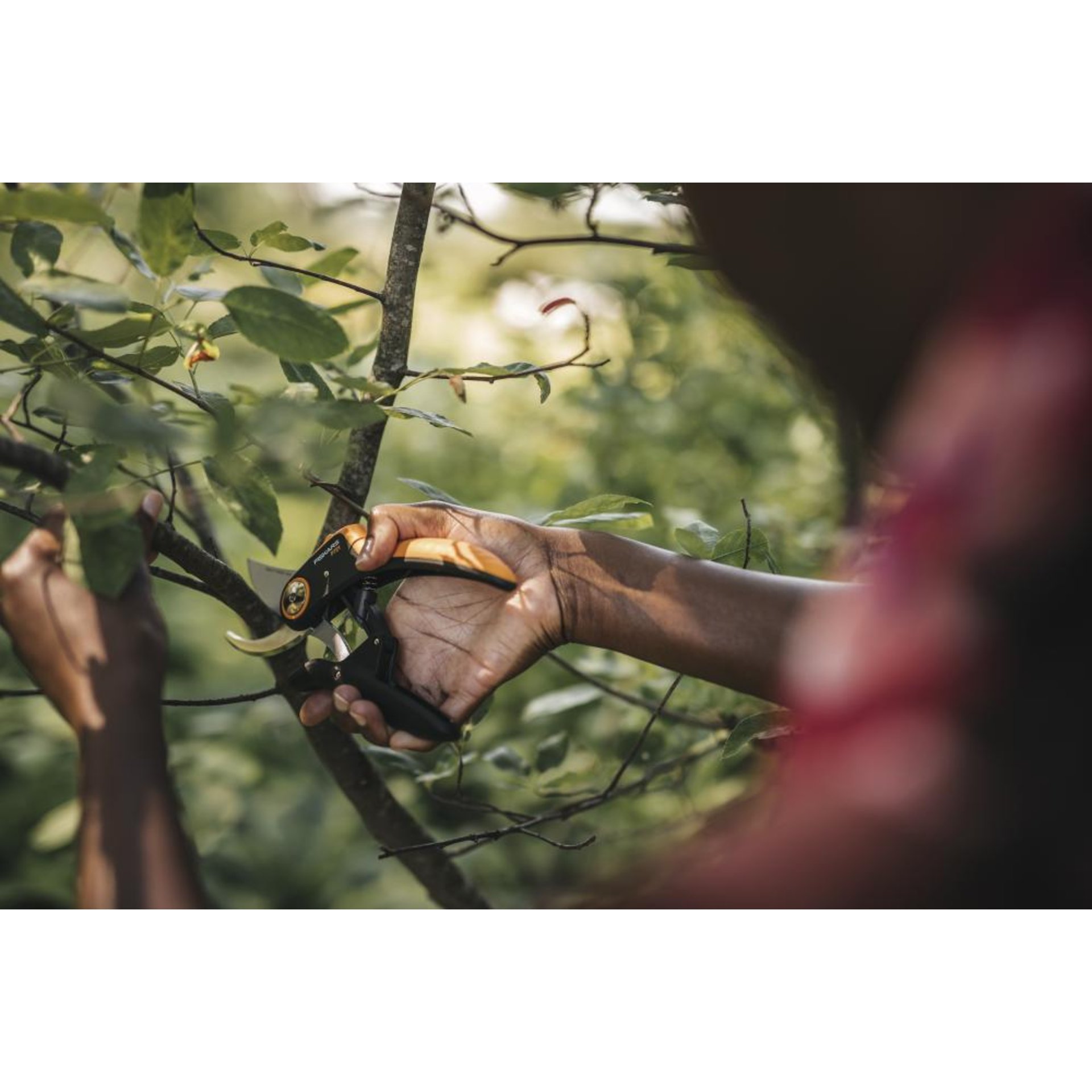 Bypass Gartenschere (P721) Plus PowerLever