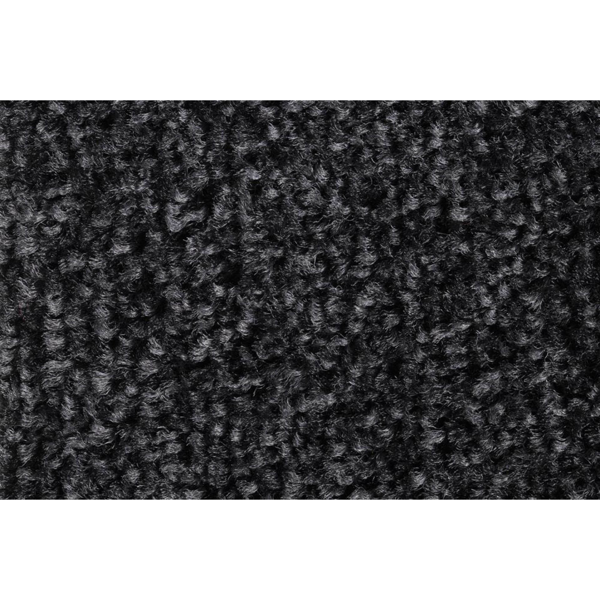 Schmutzfangmatte EAZYCARE Wash anthrazit B60xT85 cm