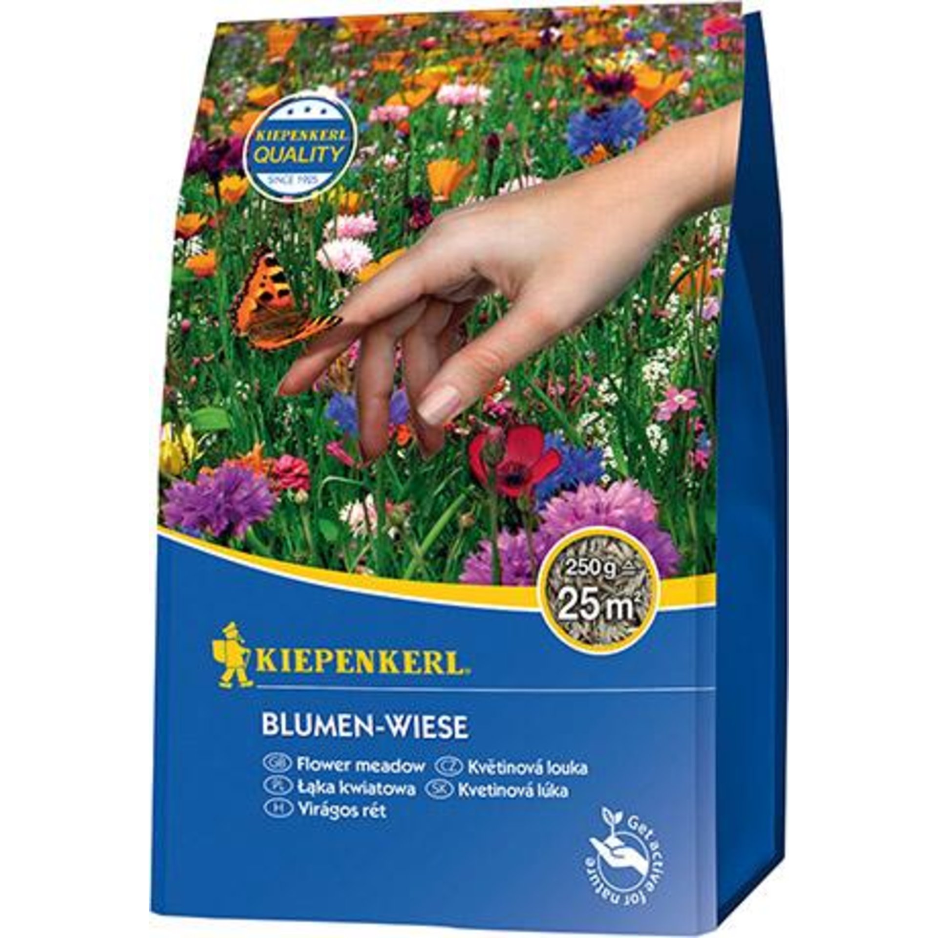 Blumen-Wiese