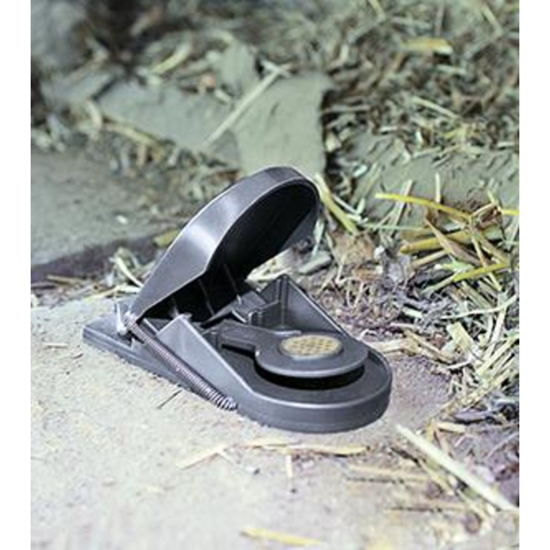 otherslag197674