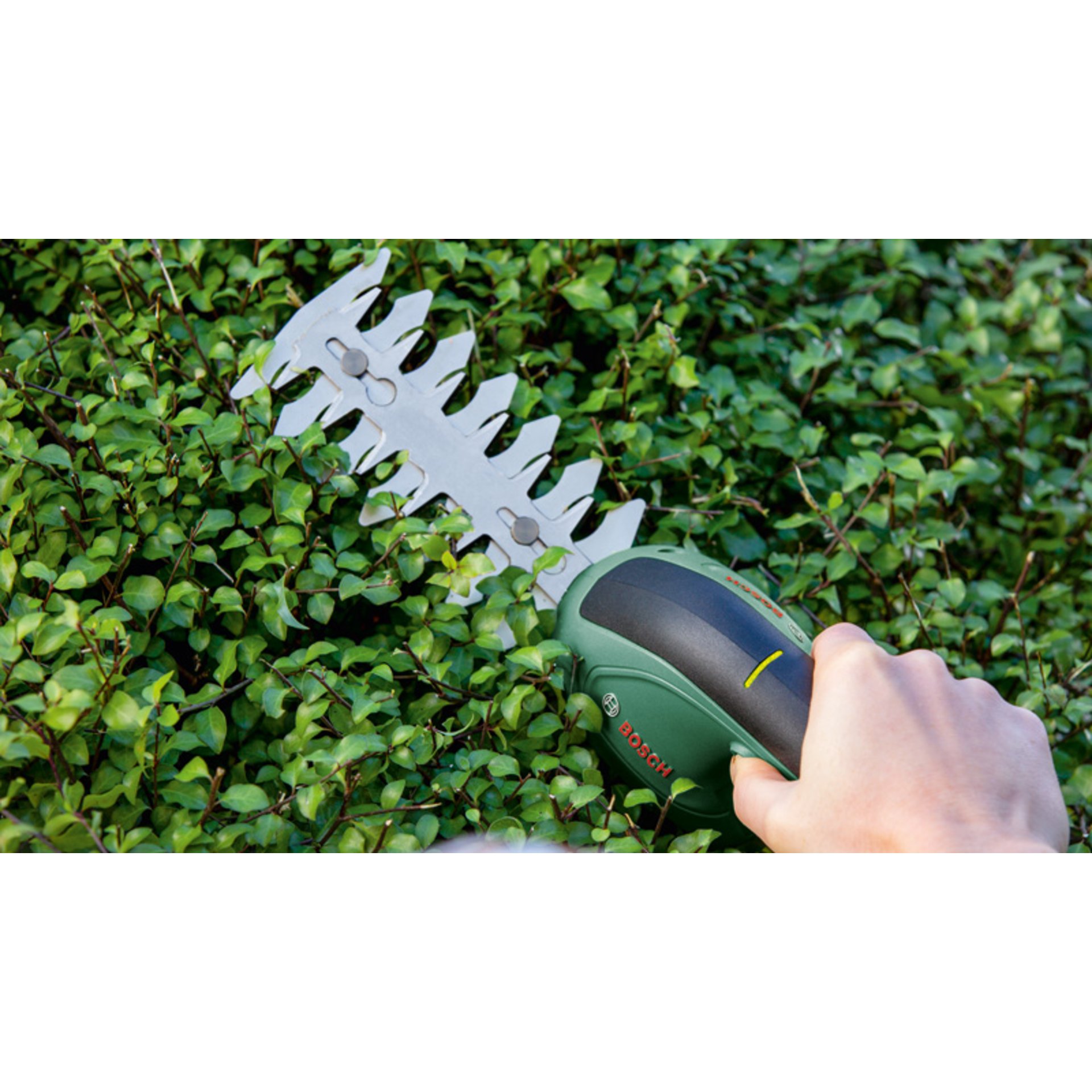 Akku-Gras- und Strauchschere EasyShear