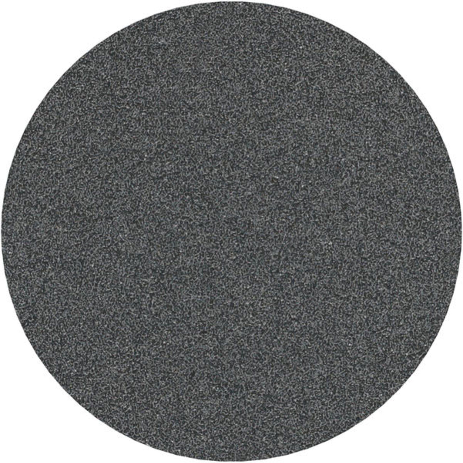 PRO F355 Schleifblatt, 125 mm, 80, 10-tlg.
