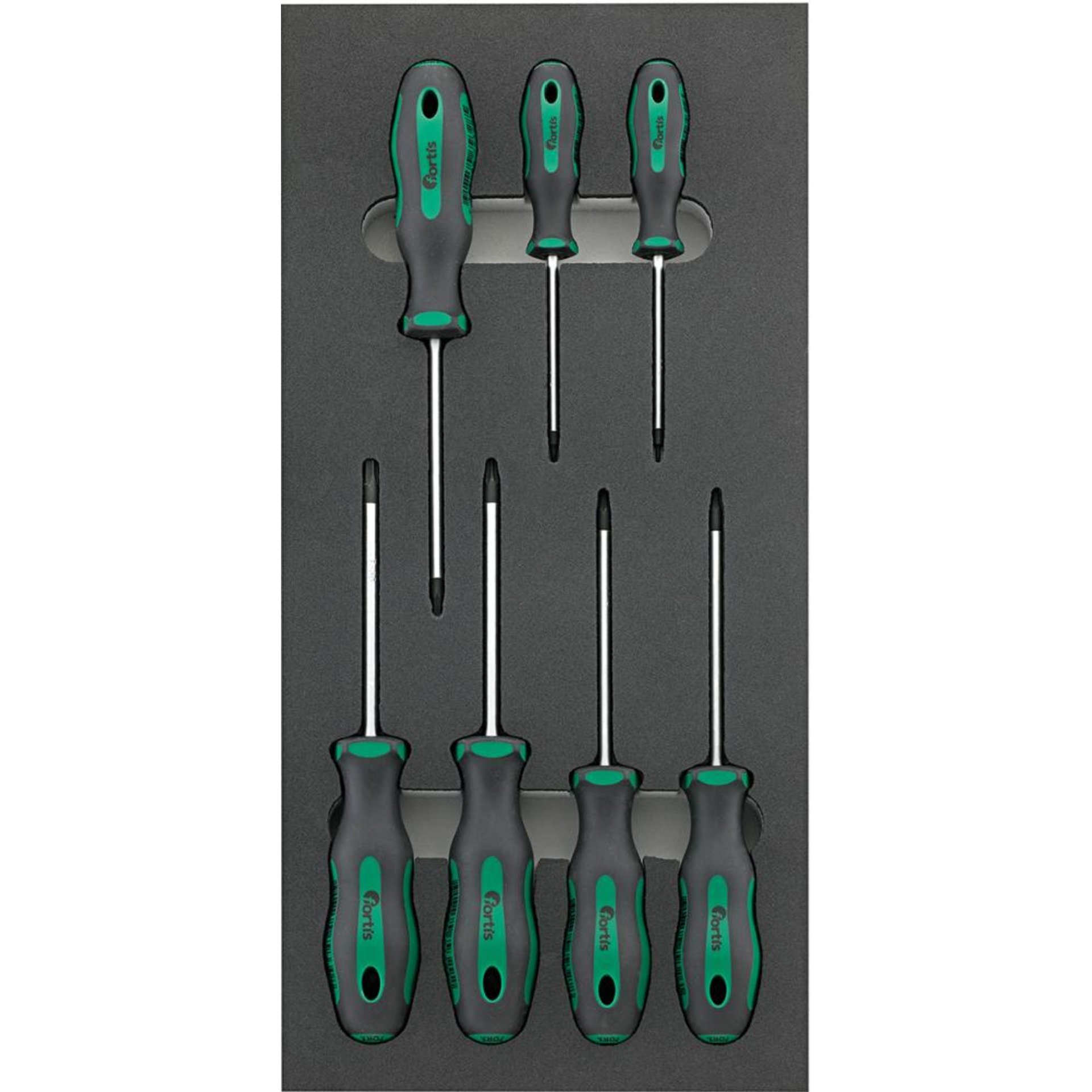 Werkzeugmodul 1/3 Schraubendr. Torx FORTIS