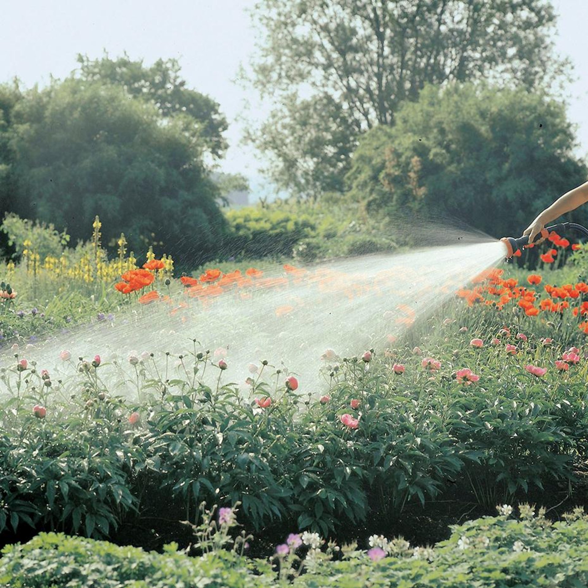 Profi-System-Spritz-BrausSB Gardena