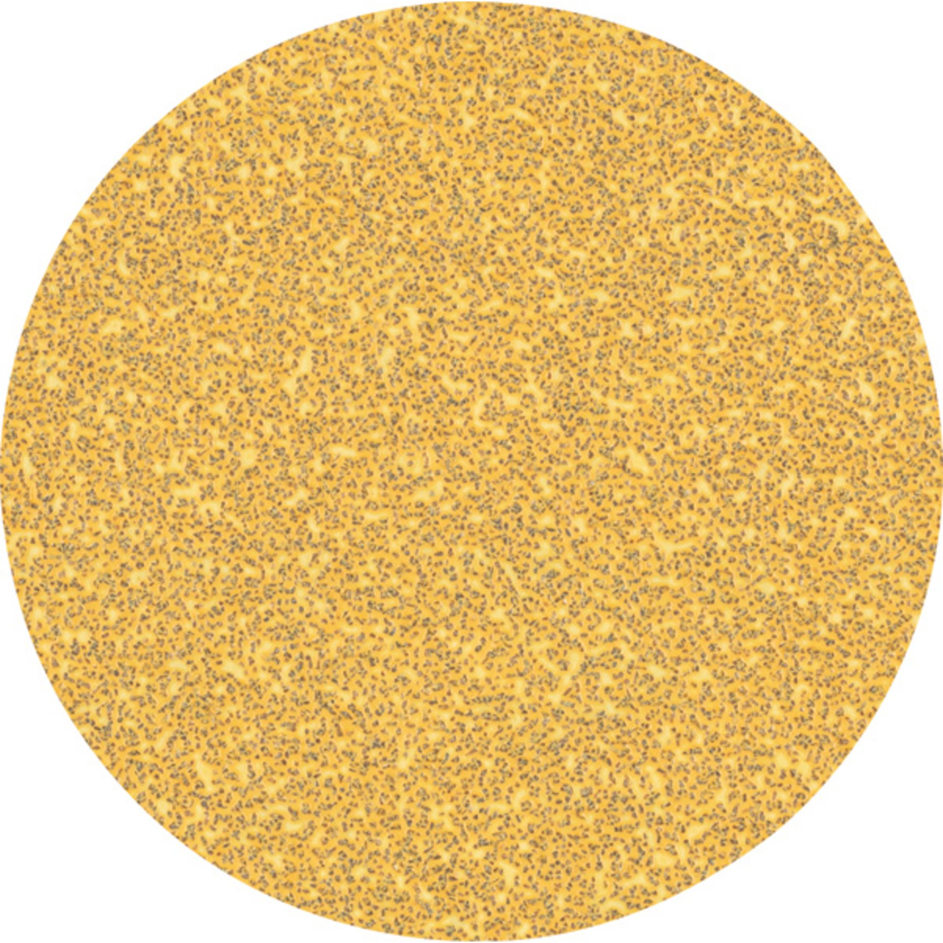 EXPERT C470 Schleifpap. o. Löcher f. Winkelschl. u. Bohr., 125 mm, G 40, 50-tlg.