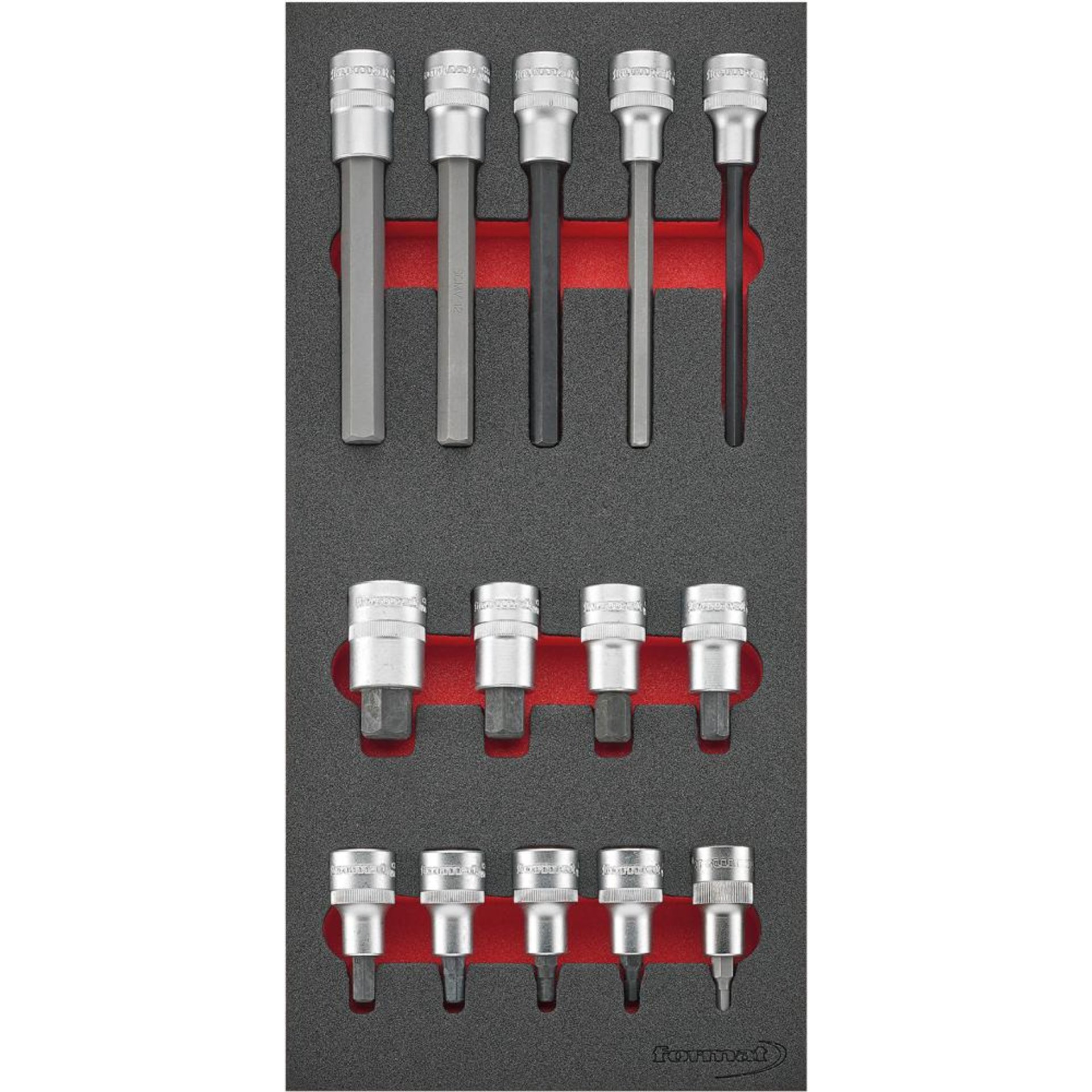 Werkzeugmodul 1/3 Steckschlüsseleinsätze 1/2" Innensechskant FORMAT