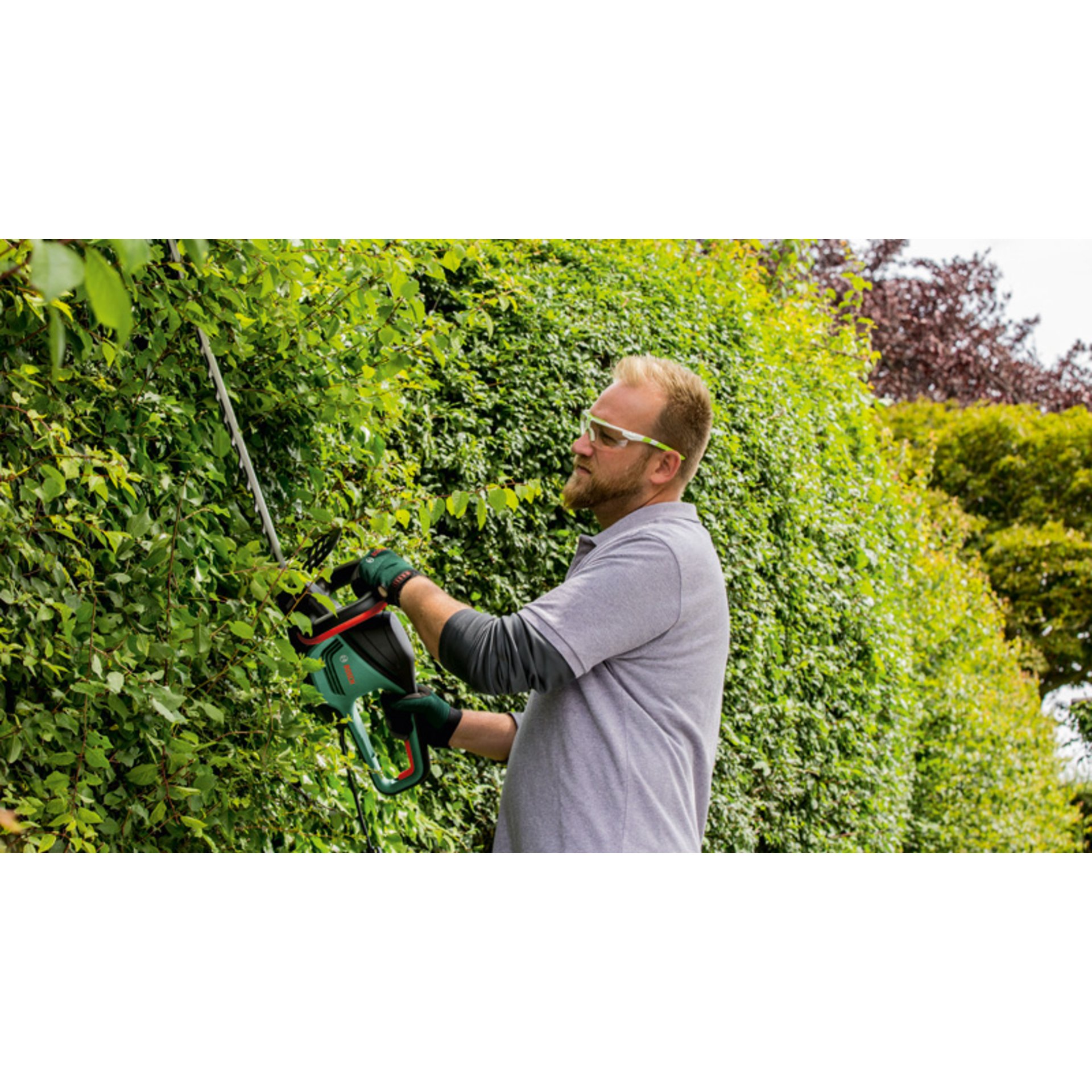 Heckenschere AdvancedHedgeCut 65